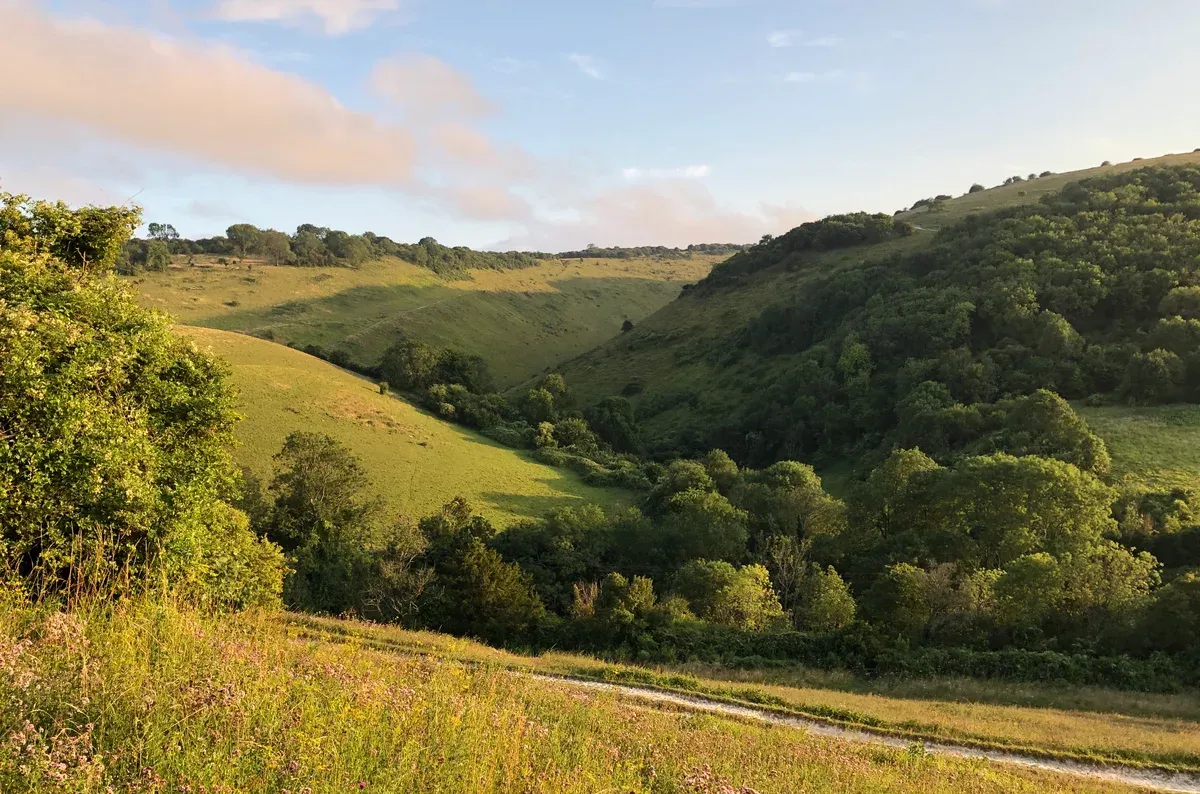 Green slopes of Devil's Dyke valley on the South Downs on a Seven Sisters day trip from London